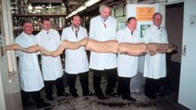 Z moře se vynořil posel zkázy. Objev „ryby soudného dne“ děsí svět