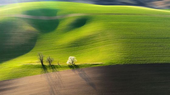 Moravské Slovensko z výšky. Krajina, která okouzlila celý svět, na fotkách z dronu