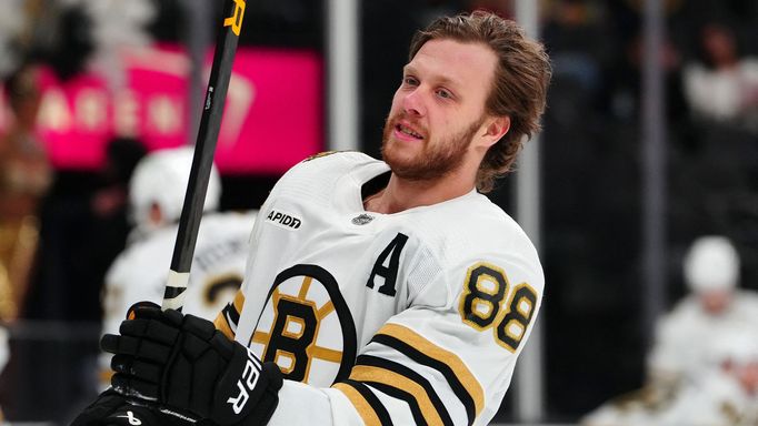 David Pastrňák (Boston Bruins)