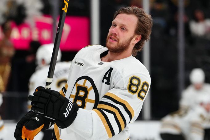 David Pastrňák (Boston Bruins)