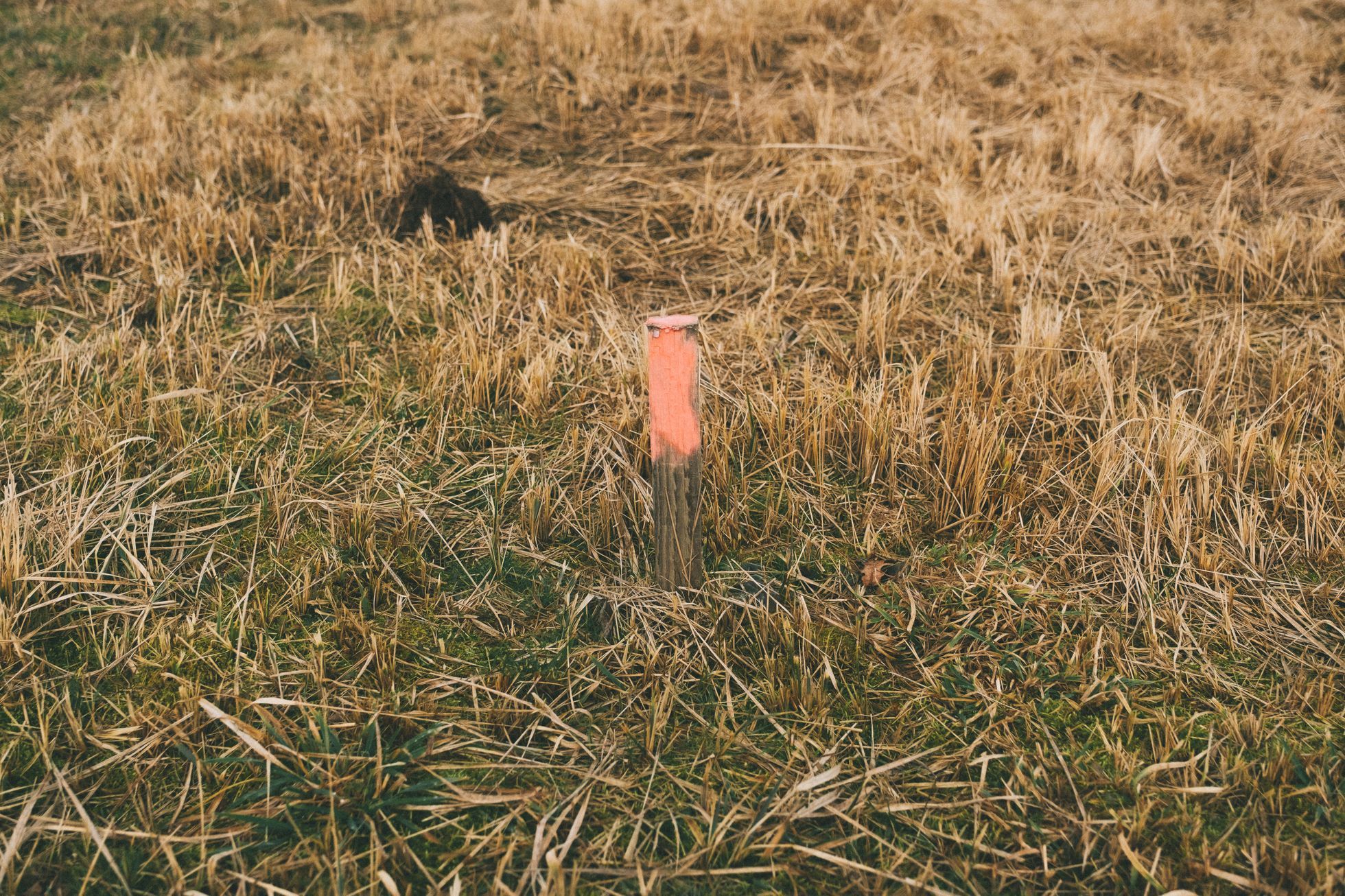 Příběh "Jako na táboře", Kniha Na okraji domov můj, Na okraji domov můj: Sedm příběhů o životě na české vesnici a proměně venkova, Magazín, fotogalerie