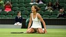 Sie Šu-wej, Barbora Strýcová, Wimbledon 2023