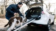 Když pejsci nejsou žádní velcí atleti, může majitel z kufru vytáhnout rampu, po níž němé tváře do automobilu bez problémů vyšplhají