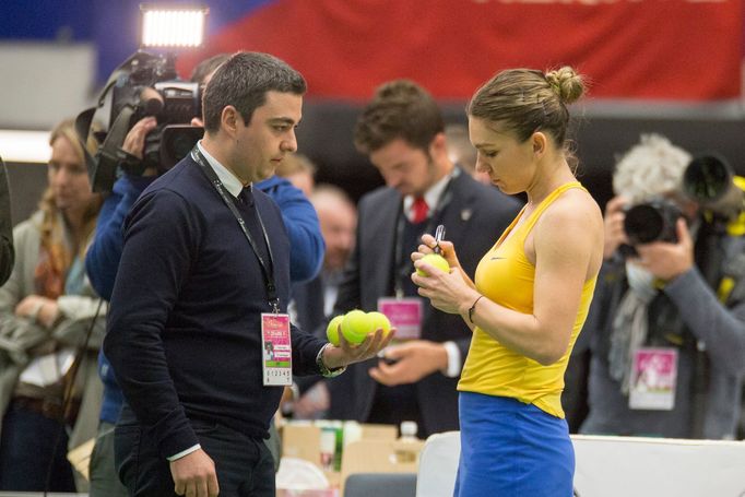 Siniaková - Halepová, Fed Cup Česko vs. Rumunsko