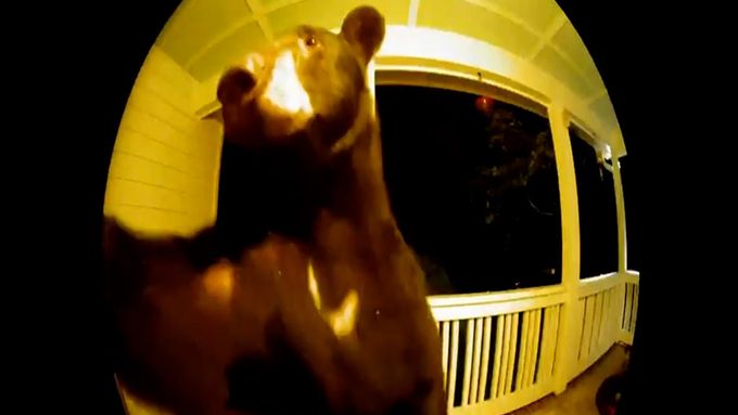 Medvěd v Jižní Karolíně v noci vymlsal ptačí krmítko, pak zazvonil na zvonek