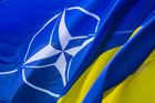 Symbol NATO s motivem ukrajinské vlajky. Ilustrační snímek.
