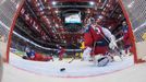 Goaltender Alexander Salak of the Czech Republic (R) and team mate Vladimir Sobotka (L) react after a goal during the men's ice hockey World Championship Group A game aga