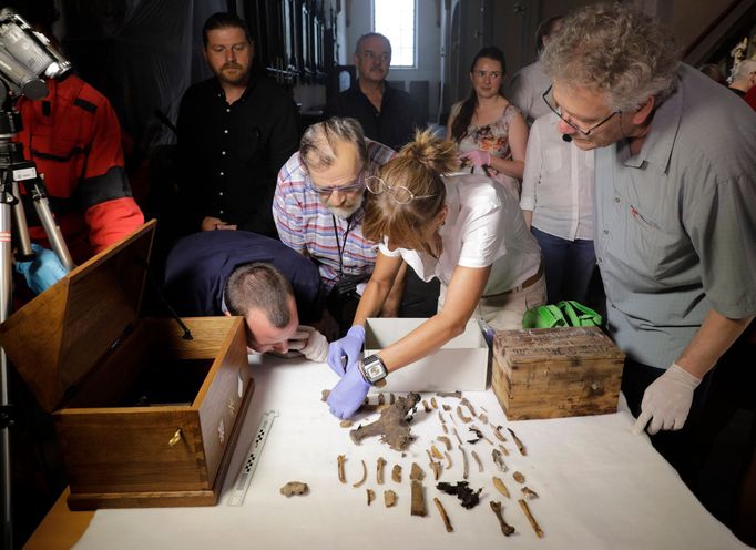 Soubor kostí nalezených v relikviáři Jindřicha Libraria.