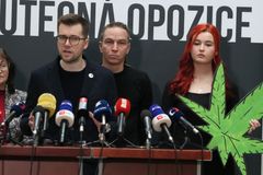 "Nechceme z Česka Amsterdam." Lidovci cupují pirátský plán na legalizaci marihuany