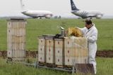 K zavedení biomonitoringu pomocí včelstev se Letiště Praha inspirovalo na jiných evropských letištích, chov včel úspěšně využívají také letiště v Mnichově, Hamburku, Drážďanech a Paříži.