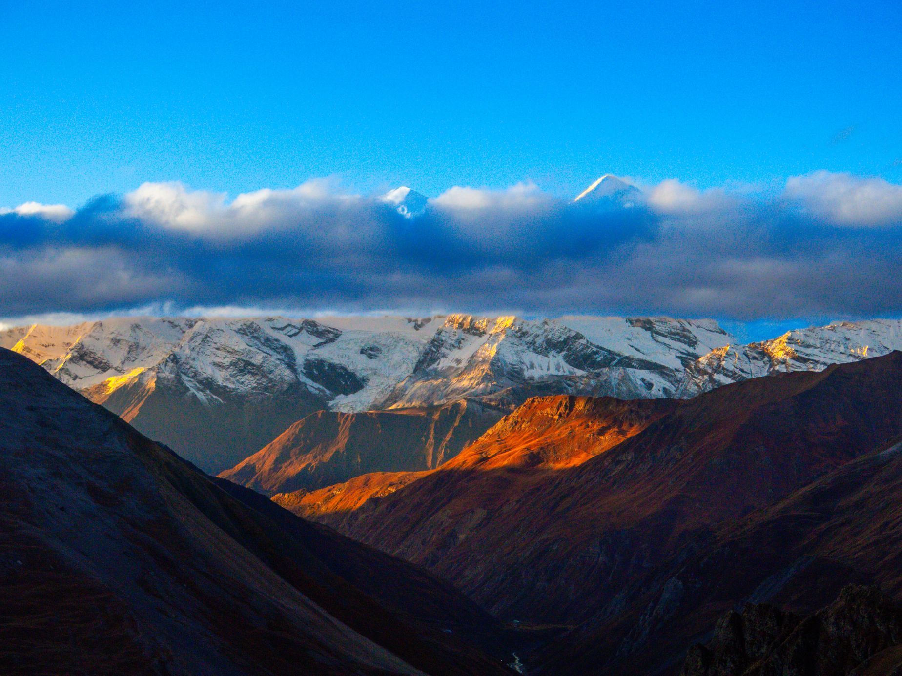 Jan Tráva Trávníček