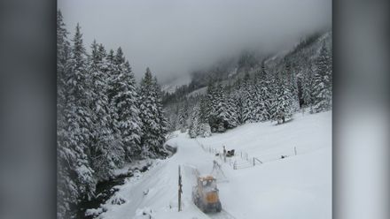 VIDEO: Krkonoše pod bílou peřinou. Podívejte se na sněhový časosběr