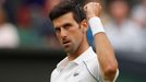 Wimbledon 2021: Novak Djokovič