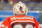Hradec Králové schválil dohodu s Mountfieldem o hokeji na dalších 6 let