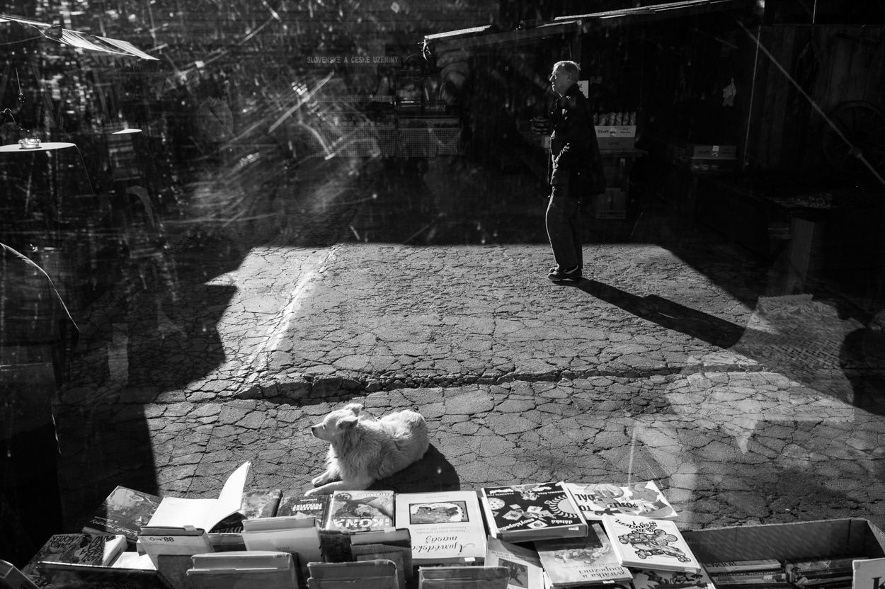 Kevin V. Ton: Osmý obvod