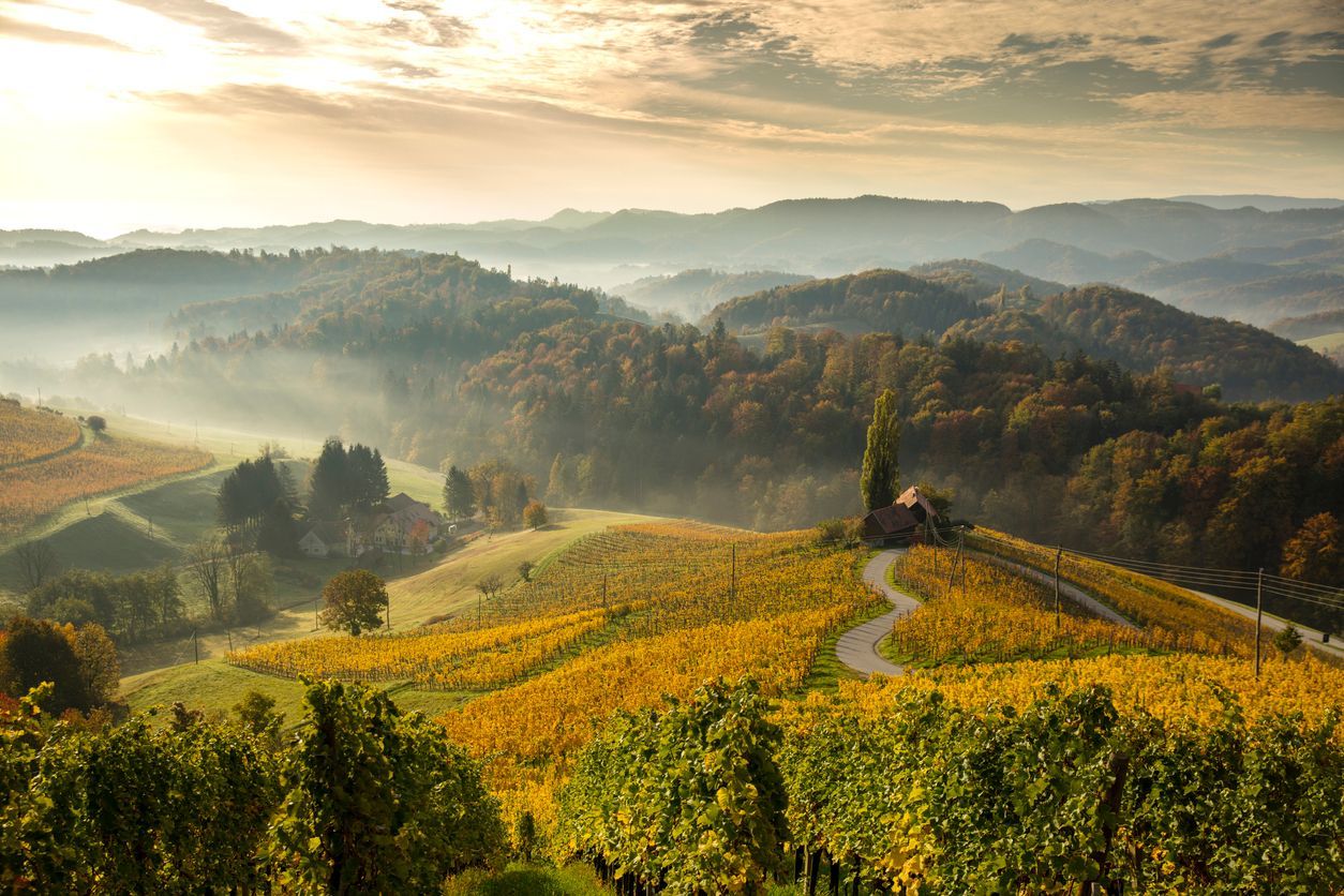 Slovinsko, žena