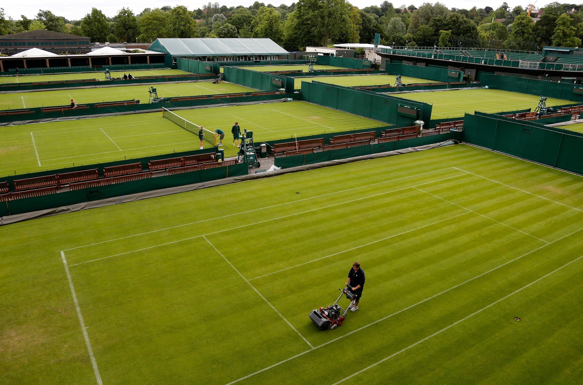 Kurty ve Wimbledonu (2013)