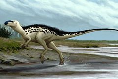 Česko má svého dinosaura. Jmenuje se Burianosaurus a jinde na světě nežil, věří vědci