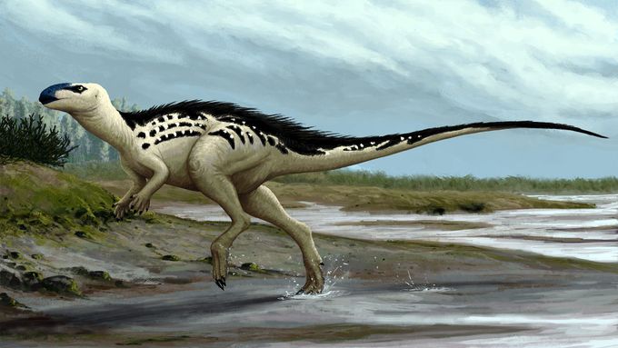 Burianosaurus augustai, druh objevený v Česku.