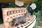 Řezbář postavil bar pro veverky. Hlodavci si u něj smlsnou na pistáciích i mandlích