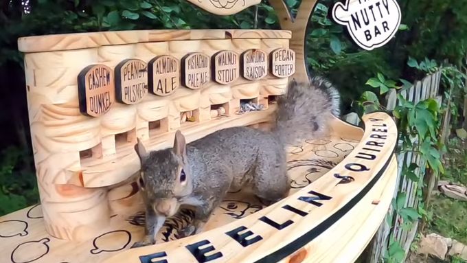 Americký řezbář postavil originální krmítko pro veverky. Připomíná výčepní pult a hlodavci si u něj mohou smlsnout na arašídech, pistáciích nebo mandlích.