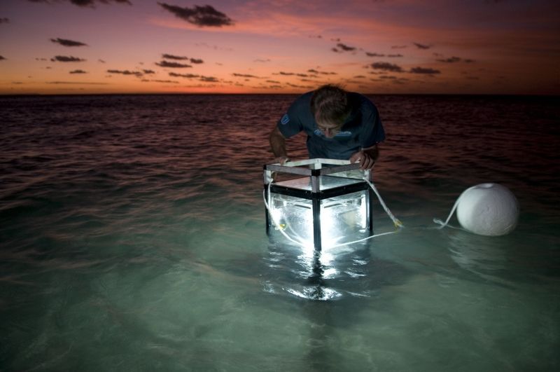 Austrálie-podmořská fota