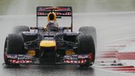 Jenže v deštivé Malajsii bylo všechno jinak. Trať v Sepangu zahalily provazy deště a Vettel nakonec dojel až jedenáctý. Poprvé od závodu ve Spa před dvěma lety tak dojel do cíle na nebodované pozici. Hlavní zásluhu na špatném výsledku měla kolize s Narainem Karthikejanem, se kterým se po závodě Neměc pohádal.