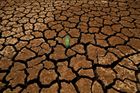 Škody na plodinách kvůli suchu jsou až 7,7 miliardy. Jurečka se pokusí vyjednat u Pilného kompenzace