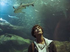 Bérénice Bejo hraje bioložku, které žralok zabil partnera.