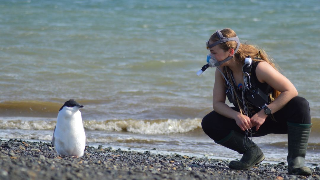 Lucie Ráčková na expedici v Antarktidě zkoumala stres výzkumníků.