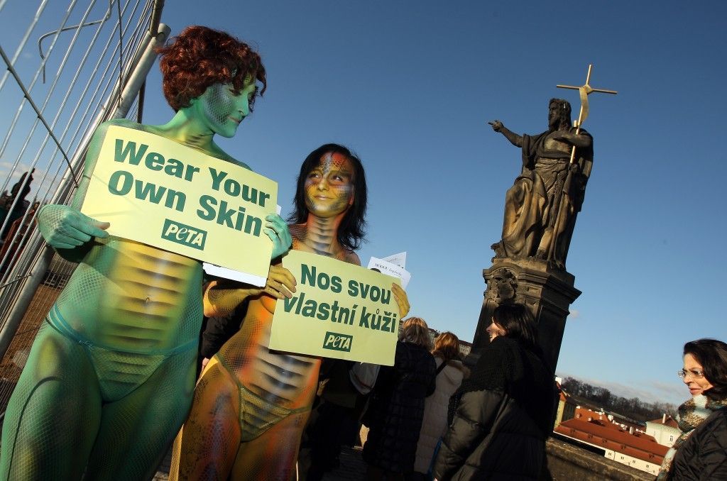 Protest proti stahování zvířat z kůže