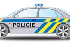 Nové policejní octavie vyjedou na silnice v listopadu