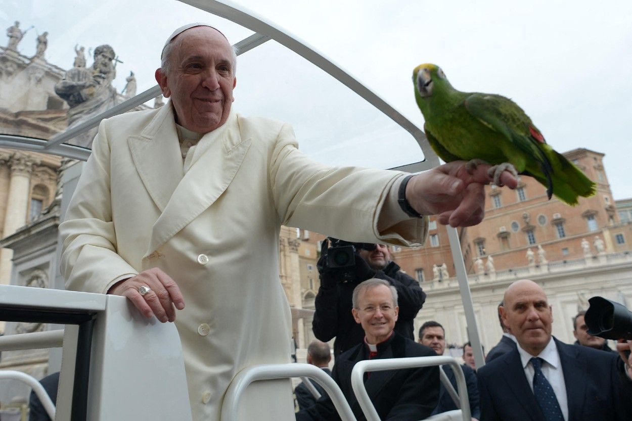 Papež František s papouškem