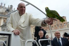 Papež odsoudil páry, které mají místo dětí jen domácí mazlíčky. Lidstvo vymře, varuje
