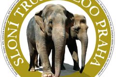 Na české zahrádky sloní trus. Zoo nabízí super hnojivo