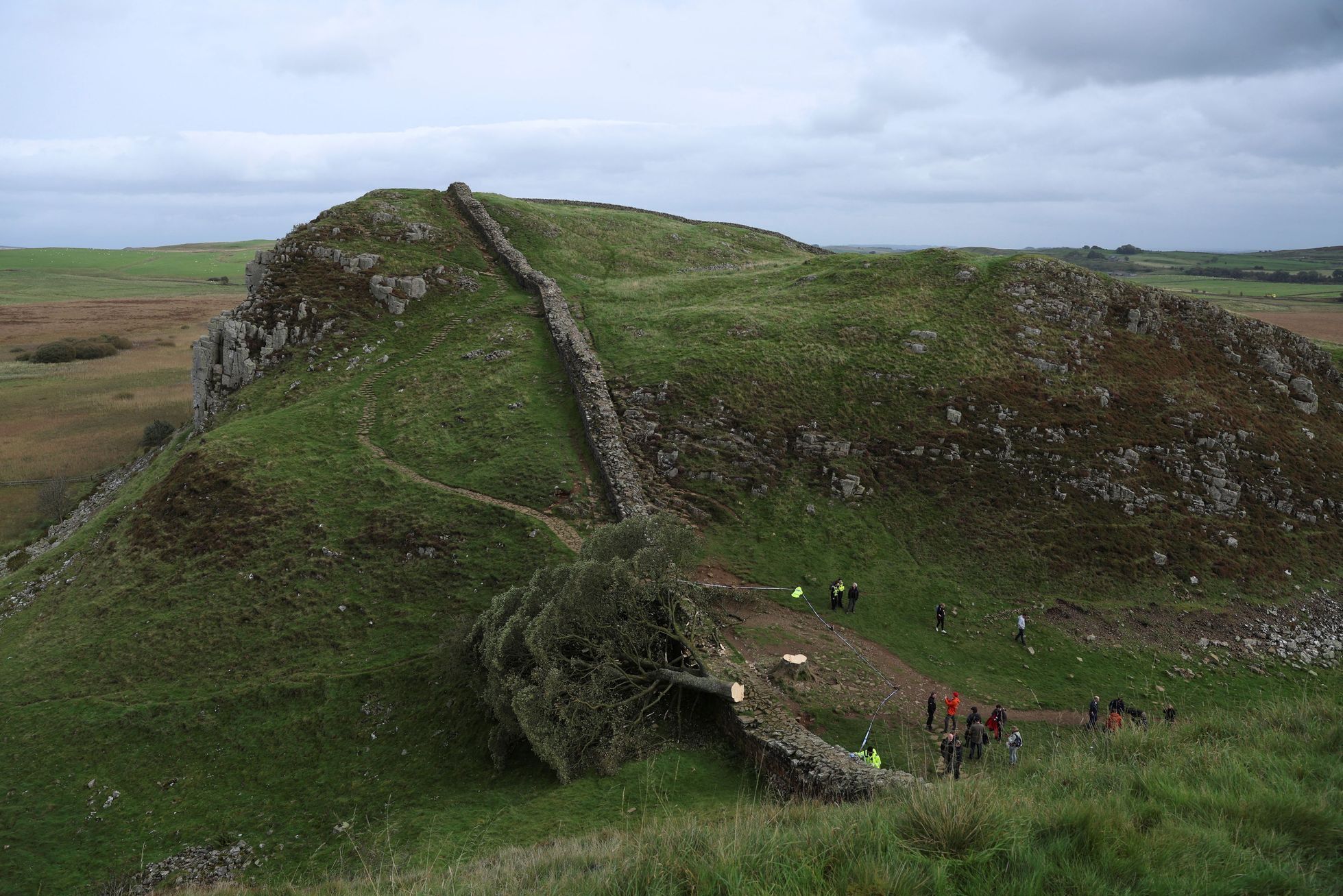 Sycamore gap, strom, Anglie