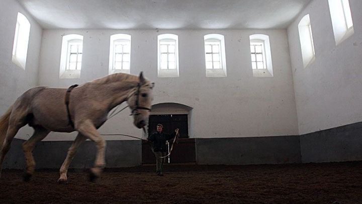 V kauze Kladruby soud mírně zpřísnil některé z trestů, část se bude znovu projednávat