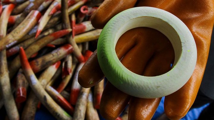 Keňská policie zatkla na letišti dvě turistky, které měly náramky ze slonoviny