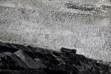 Roční těžba uhlí v Česku klesá od sametové revoluce, a to o desítky procent. Zatímco v roce 1989 se vytěžilo téměř 35 milionů tun černého uhlí a 89 milionů tun uhlí hnědého, v roce 2021 to bylo 29,3 milionu tun. V roce 2022 těžba sice překonala výsledky z „koronavirových“ let 2020 a 2021, hodnoty z roku 2019 (37,5 milionu tun) však nedosáhla.