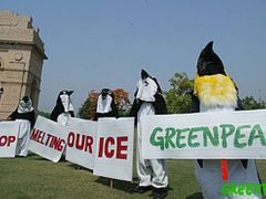 Protest Greenpeace v indickém Dillí - Aktivisté v převleku za tučňáky říkají: Přestaňte nám roztávat led.