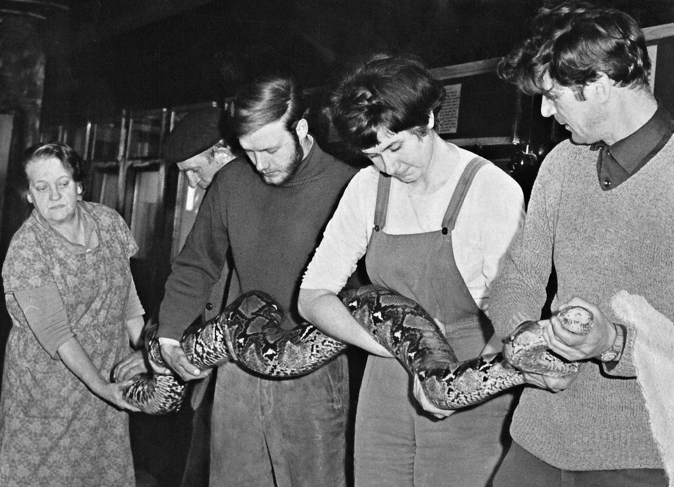 Zoo Brno, Brněnská zoo, zoo, zoologická zahrada, historie, výročí, Domácí