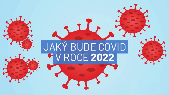 Jaký bude covidový rok 2022? Epidemie neskončí, omikron není poslední, tvrdí experti; Zdroj foto: Aktuálně.cz