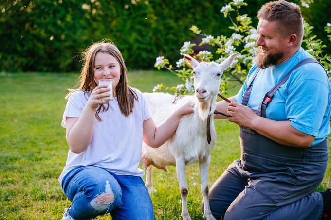 Kozí mléko má skvělé nutriční vlastnosti a obsahuje unikátní složení tuků, bílkovin a vitaminů.
