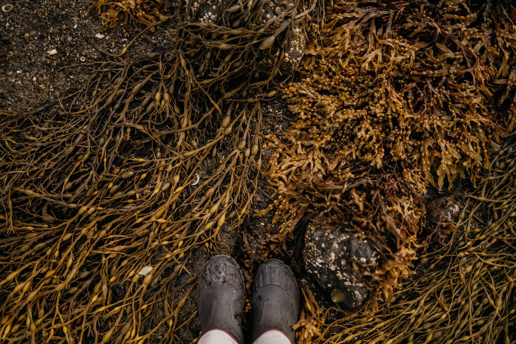 isle of skye skotsko