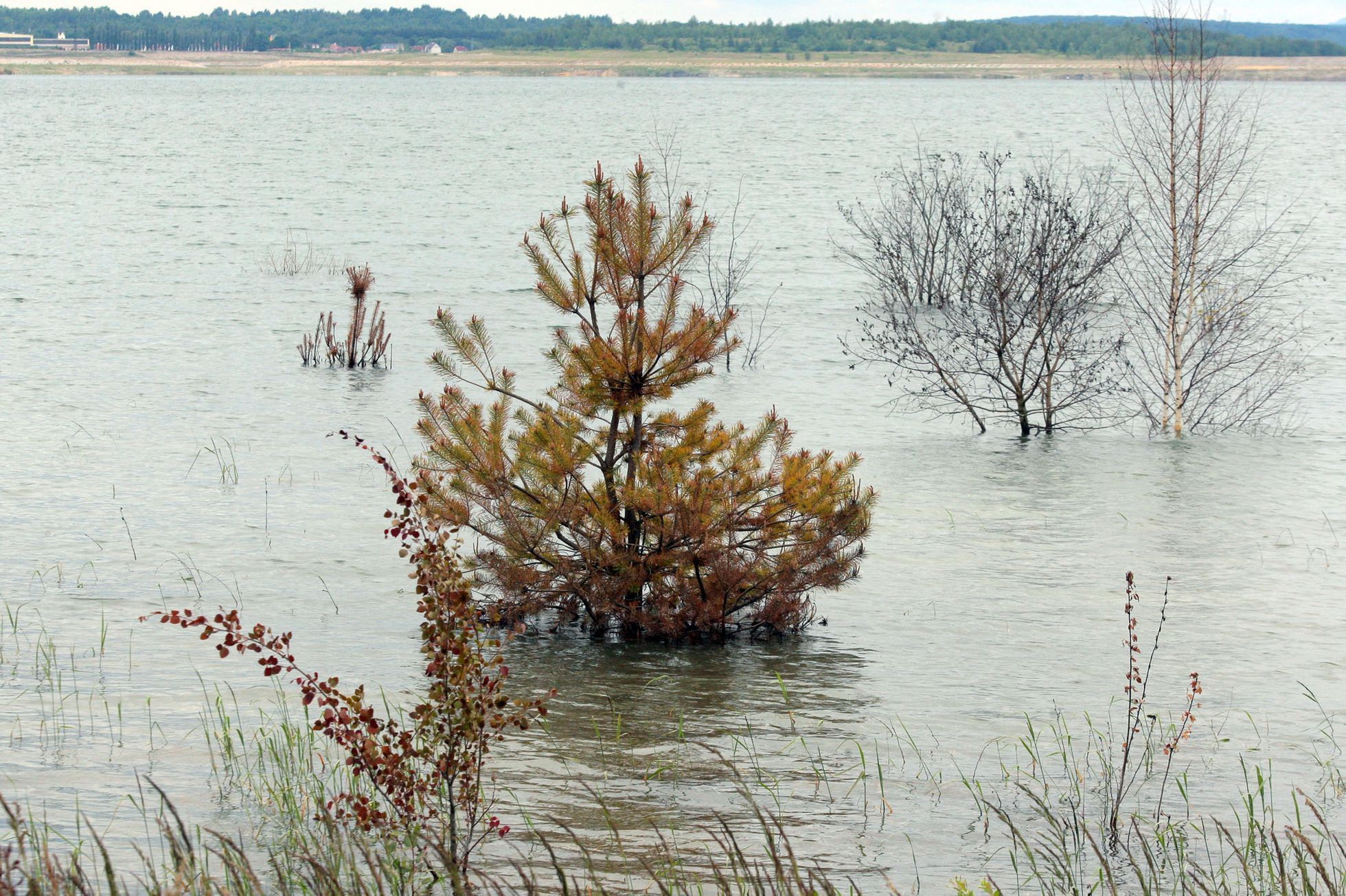 Jezero Medard ze země