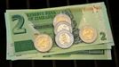 Nový zimbabwský dolar