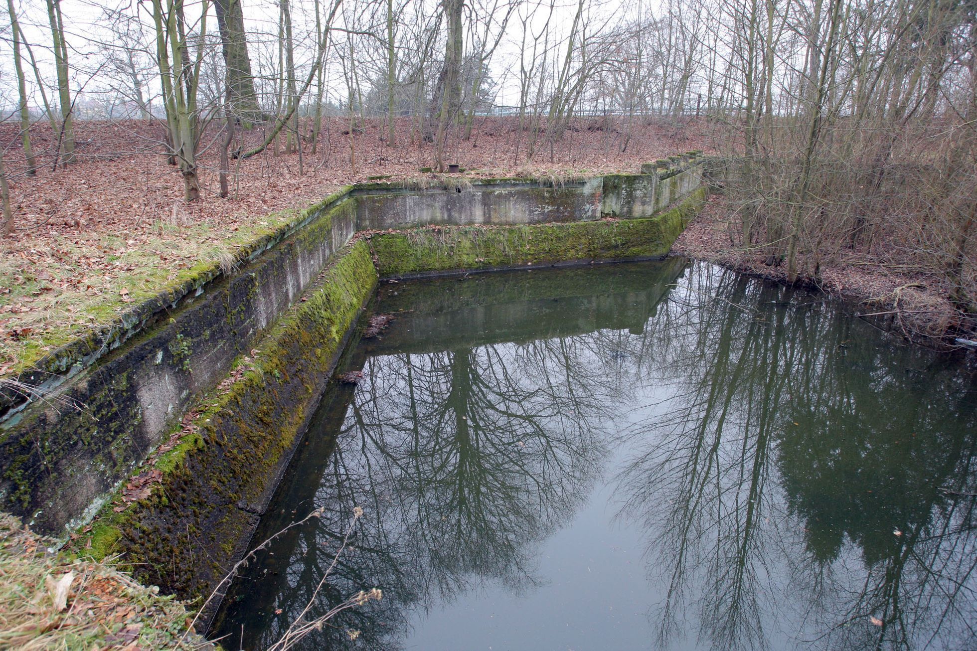 Labe u Přelouče