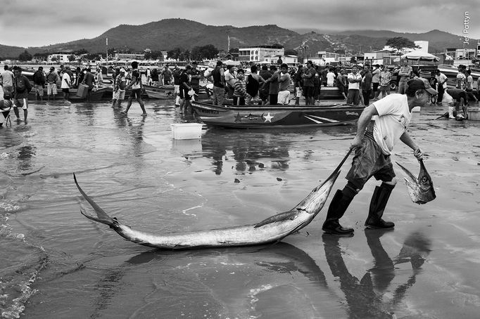 Fotografie ze soutěže Wildlife Photographer of the Year 2023