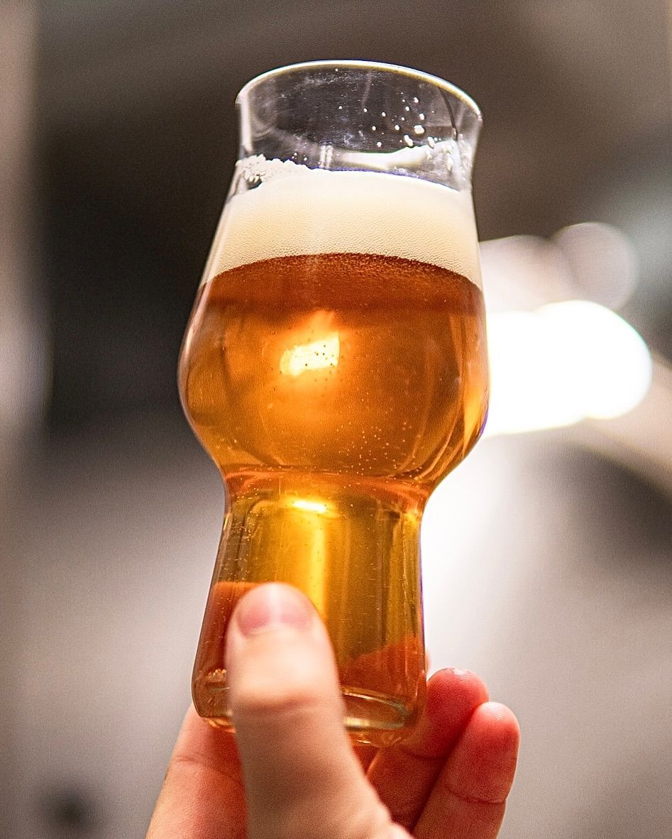 Pivovar Rohozec ochutnávání