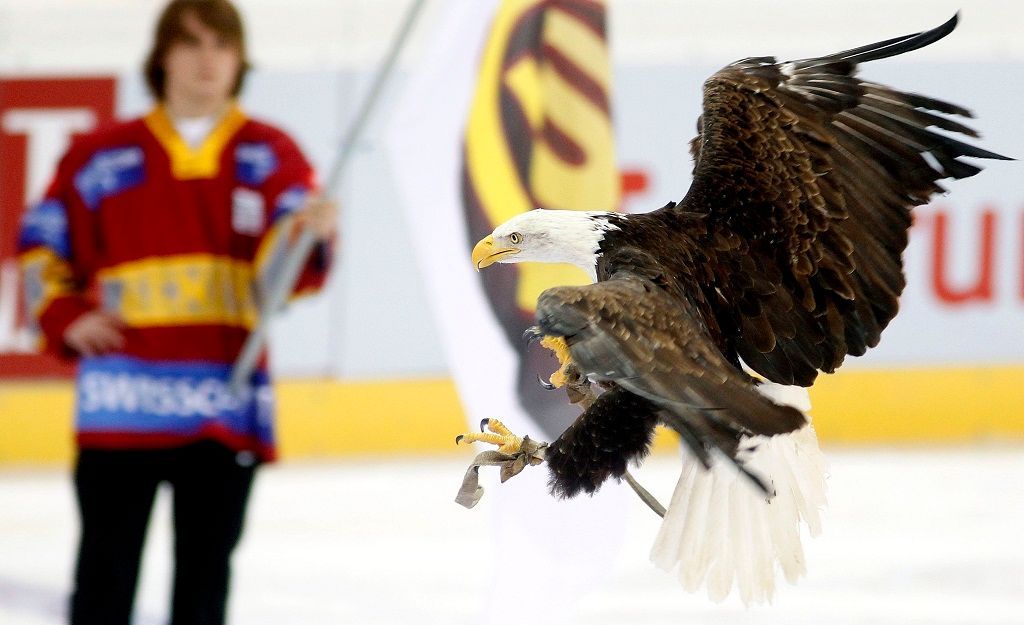 Spengler Cup: Sparta - Ženeva